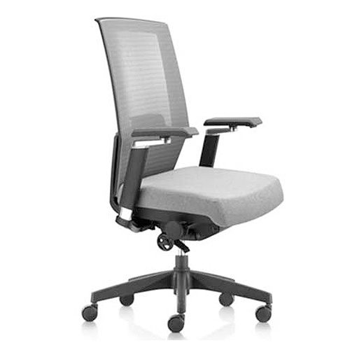 Director/CEO Chair